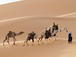 旅游业正成为非洲新动力，非洲旅游热潮！​