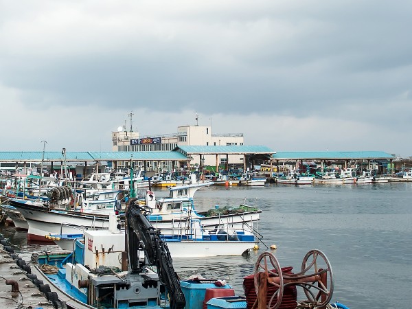 海运业务常用缩略语、国际海运术语大全​